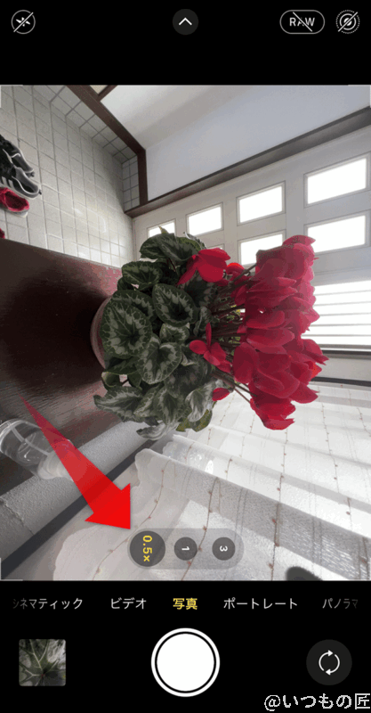 超広角レンズでマクロ撮影モードを起動すると、花アイコンは表示されません。