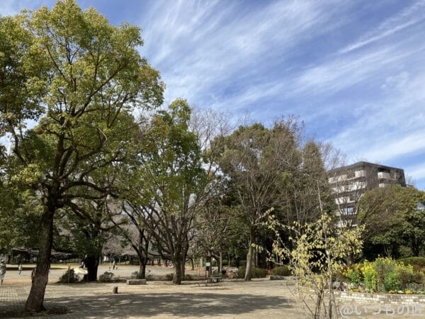 iphone-se-3-wide-lens-photo3 | iphone review.jp iPhone SE3の広角レンズ撮影その3。何気ない公園の風景ですが、空とのコントラストが良い感じです。