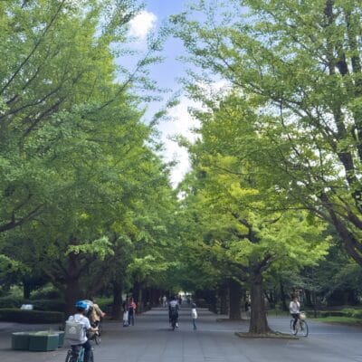 iPhone15 Pro Max 風景写真 作例11（晴天）