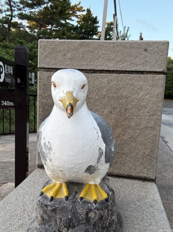 iphone 16 pro maxのフロントカメラで撮影した写真 | iphone review.jp iPhone 16 Pro/16 Pro Max カメラ iPhone 16 Pro Maxのフロントカメラで撮影した写真