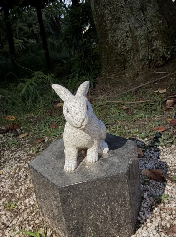 iPhone 16 Pro/16 Pro Max カメラ iPhone 16 Pro Maxのフロントカメラで撮影した写真