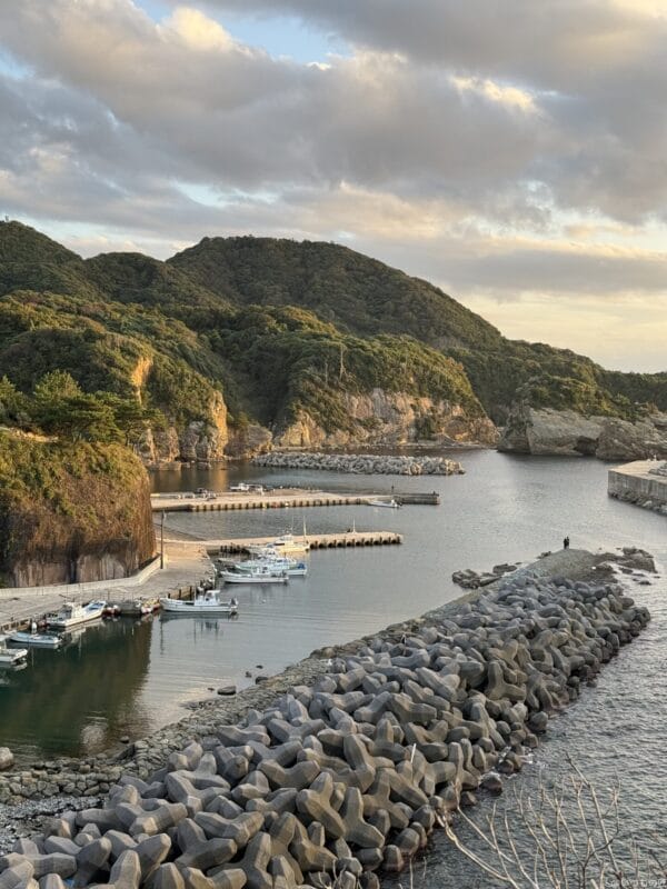 iPhone 16 Pro/16 Pro Max カメラ iPhone 16 Pro Maxで撮影した風景写真