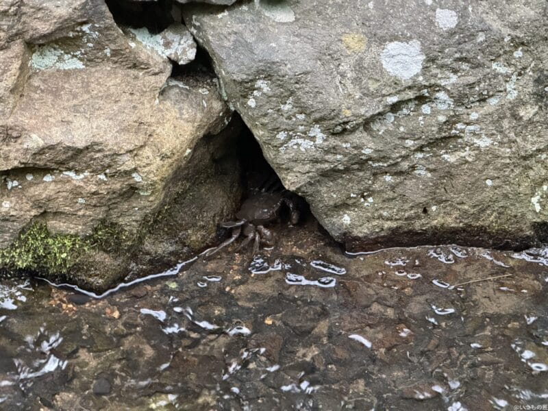 iphone 16 pro maxで撮影した風景写真 | iphone review.jp iPhone 16 Pro/16 Pro Max カメラ iPhone 16 Pro Maxで撮影した風景写真