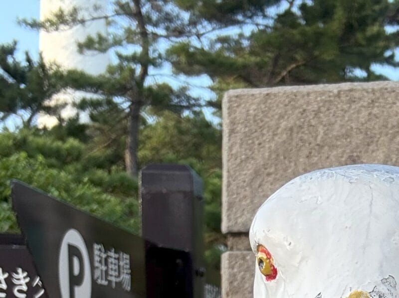 iphone 16のフロントカメラで撮影した写真 | iphone review.jp iPhone 16/16 Plus カメラ iPhone 16のフロントカメラで撮影した写真