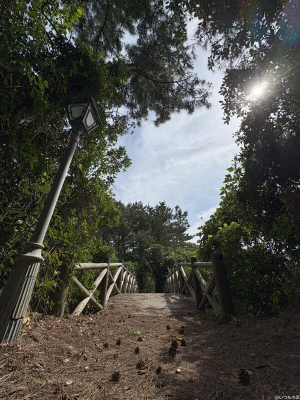 iPhone 16/16 Plus カメラ iPhone 16で撮影した風景写真