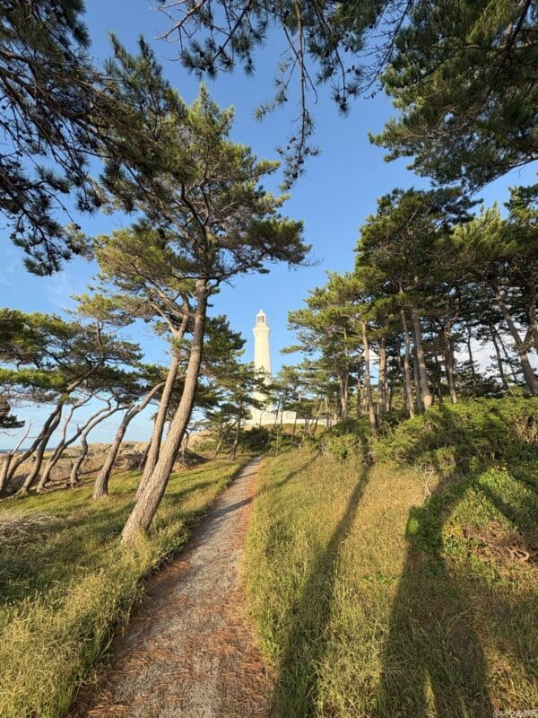 iPhone 16/16 Plus カメラ iPhone 16でズーム撮影した風景写真