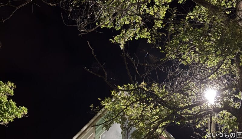 iPhone16e カメラ iPhone16のズーム写真を切り抜き・拡大した写真