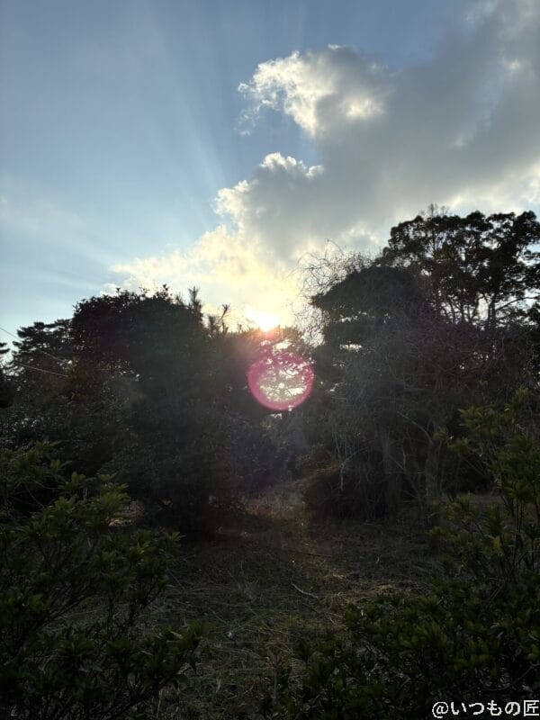 iPhone16e カメラ iPhone16eで撮影した風景写真