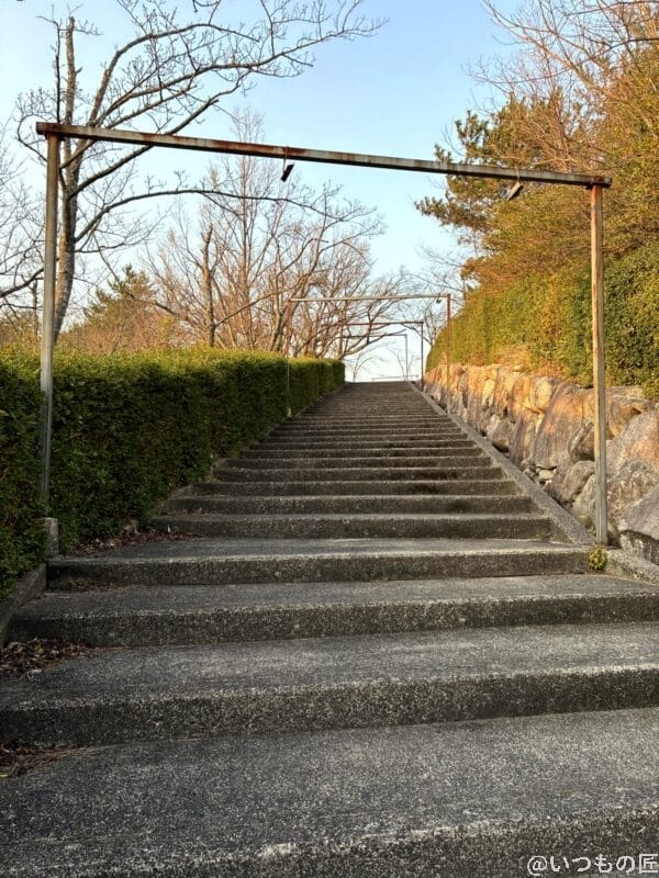 iPhone16e カメラ iPhone16eで撮影した風景写真