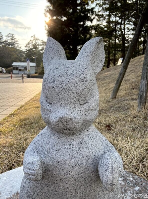 iPhone16e カメラ iPhone16eでインカメラ撮影した写真