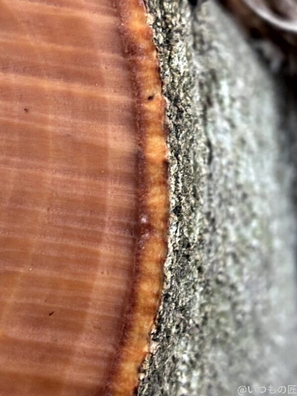 iPhone16e カメラ iPhone16eでマクロ撮影した写真