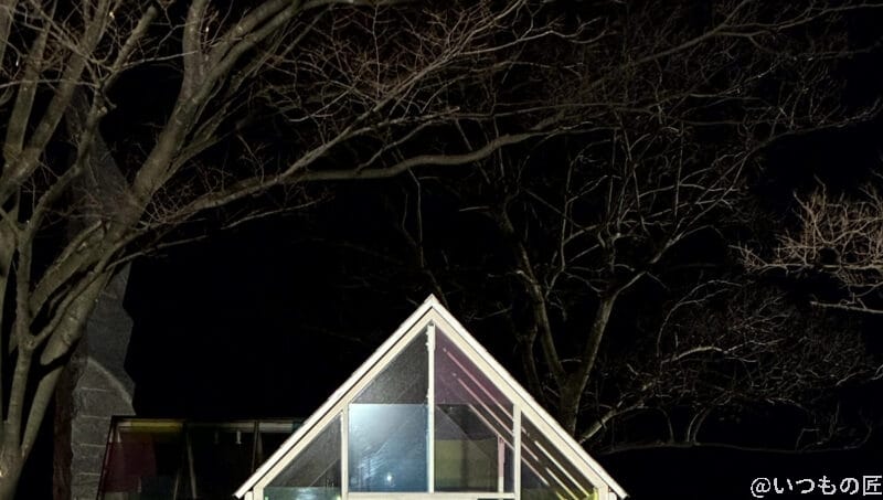 iPhone16e カメラ iPhone16eのズーム写真を切り抜き・拡大した写真