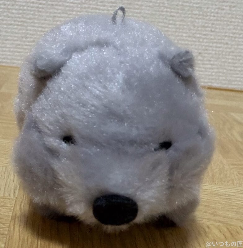 iPhone 17 Pro カメラ ねずみのぬいぐるみ