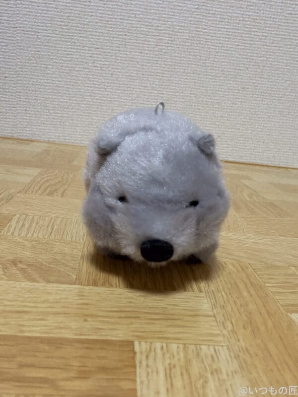 iPhone 17 Pro カメラ ねずみのぬいぐるみ