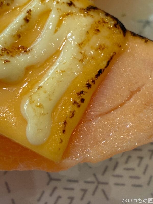 iPhone 17 Pro カメラ サーモンの上のとろけたチーズ