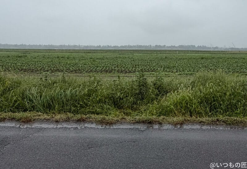 iPhone17 カメラ 雨に濡れた道路の様子