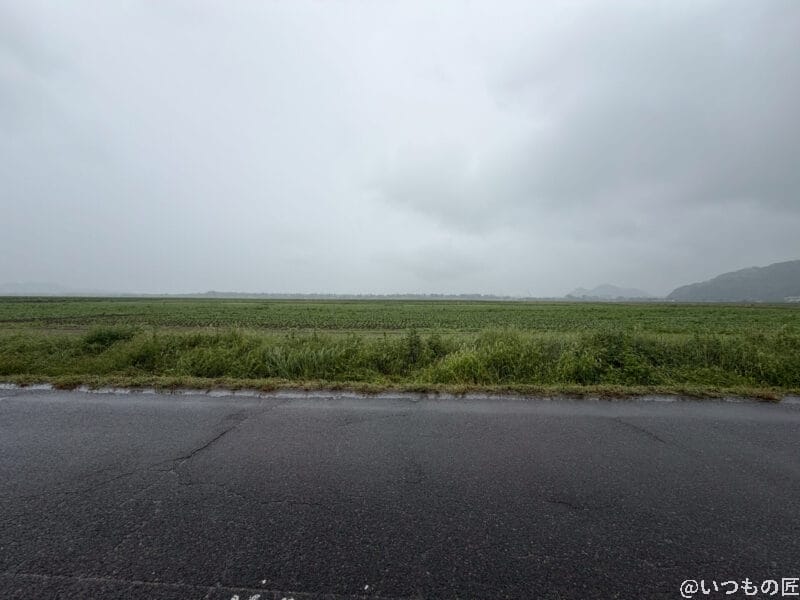 iPhone17 カメラ 雨に濡れた道路の様子