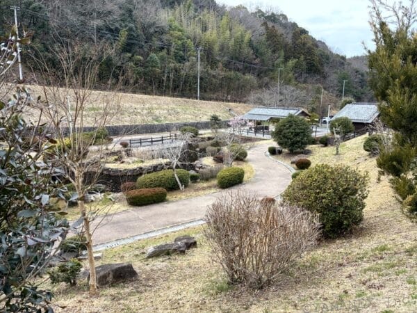 iPhone17e カメラ 曇天の庭園