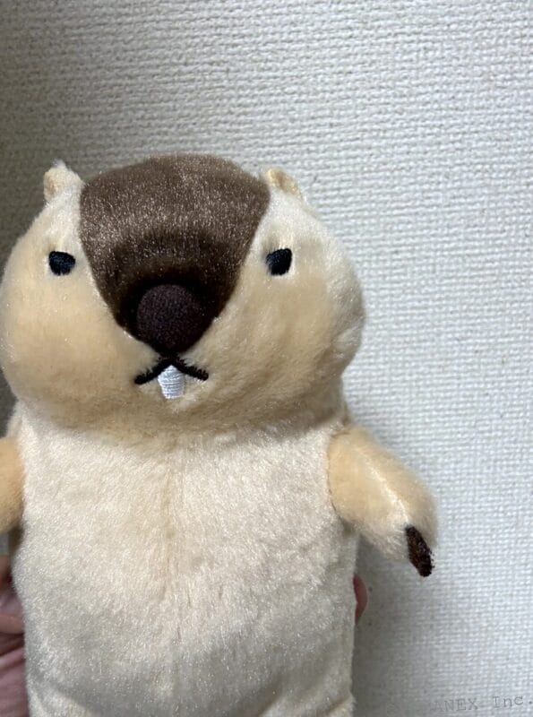 ぬいぐるみをインカメラで撮影した一枚 | iphone review.jp iPhone17e カメラ ぬいぐるみをインカメラで撮影した一枚