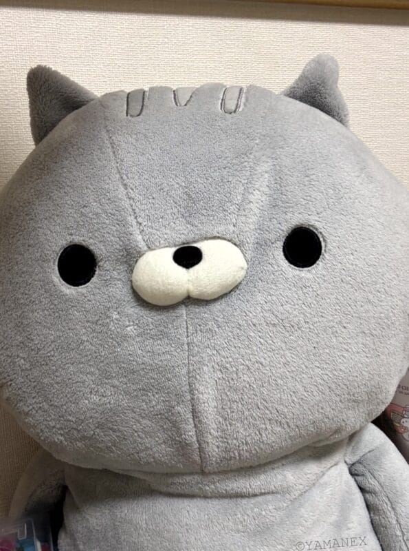 ぬいぐるみをインカメラで撮影した一枚 | iphone review.jp iPhone17e カメラ ぬいぐるみをインカメラで撮影した一枚