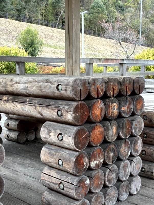 丸太が積み重なった様子 | iphone review.jp iPhone17e カメラ 丸太が積み重なった様子